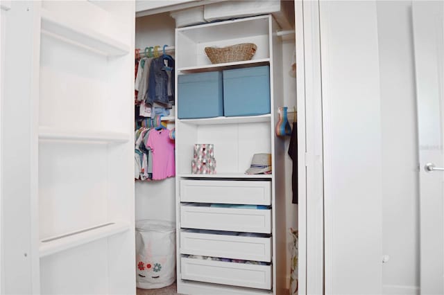 view of closet