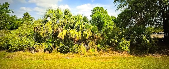 27178 Jordan Ave, Punta Gorda FL, 33983 land for sale