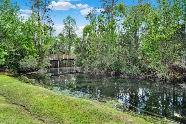 view of water feature with a view of trees