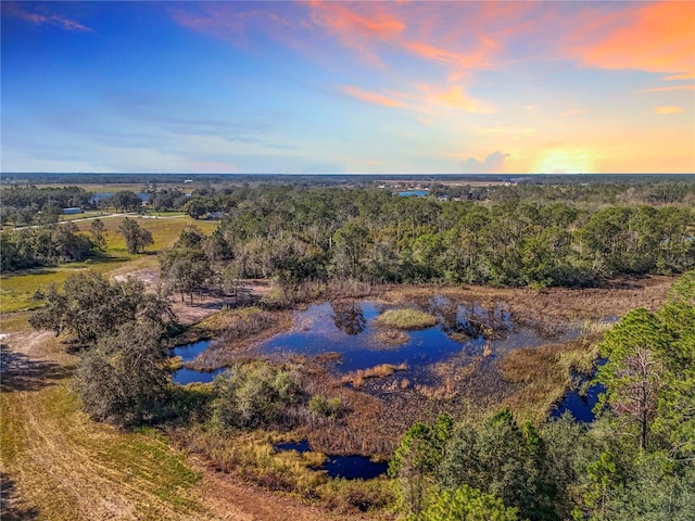 Pine Island Rd, Clermont FL, 34711 land for sale