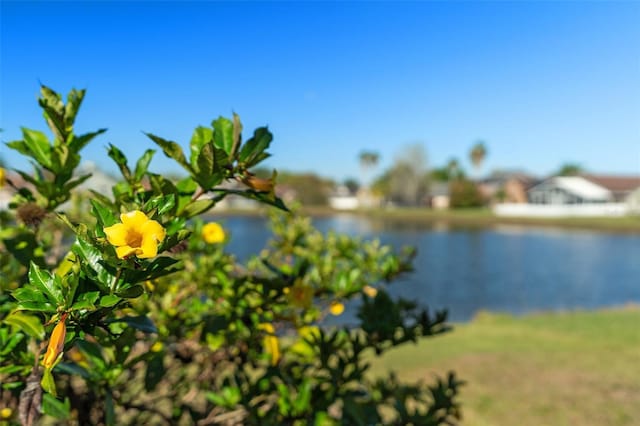 water view