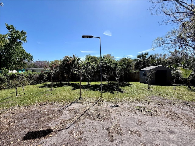 view of yard with a storage shed and an outdoor structure