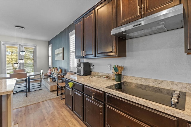 kitchen with under cabinet range hood, light wood-type flooring, light countertops, and black electric cooktop