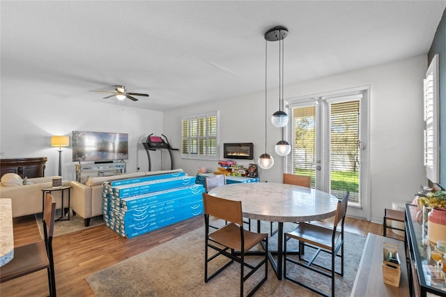 dining area with a ceiling fan, wood finished floors, and a wealth of natural light