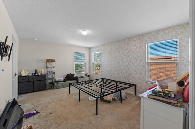 rec room featuring light carpet and a textured ceiling