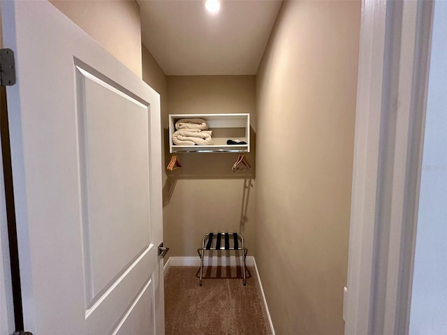 interior space featuring carpet flooring and baseboards