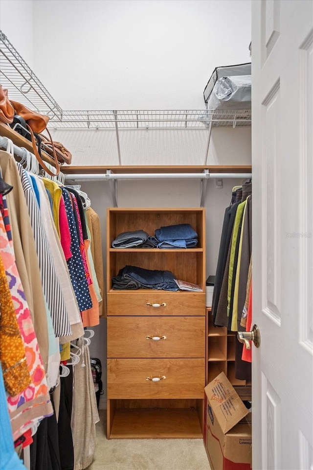 spacious closet with light carpet