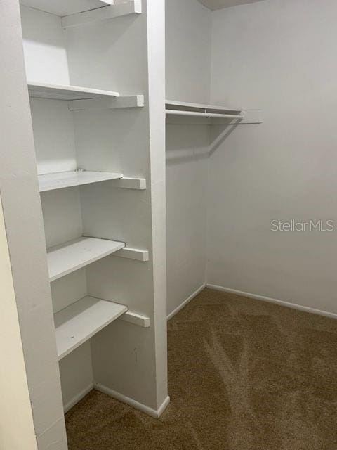 spacious closet with carpet flooring