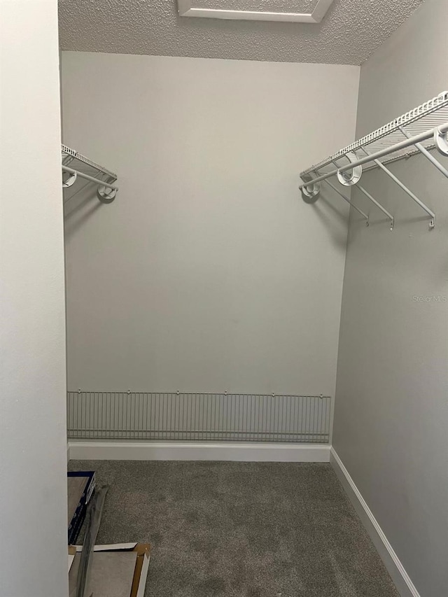 walk in closet with carpet