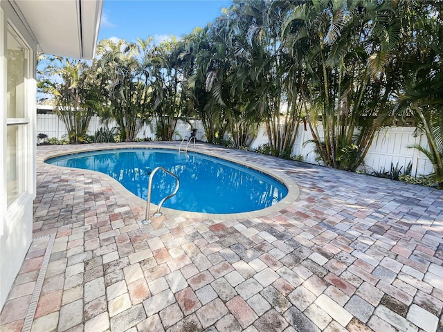 view of pool featuring a fenced backyard, a fenced in pool, and a patio