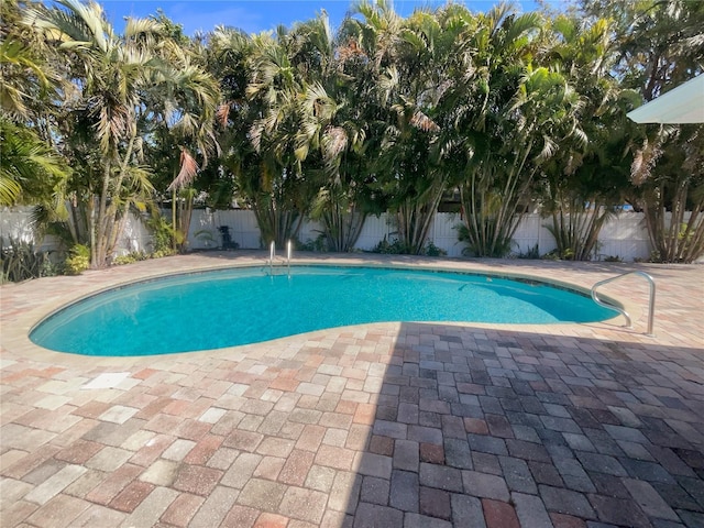 view of swimming pool with a fenced in pool, a patio area, and a fenced backyard