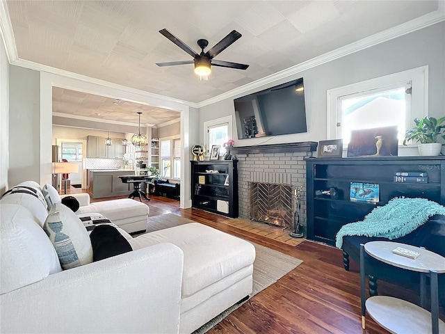 living room featuring a fireplace, dark wood finished floors, a ceiling fan, and crown molding