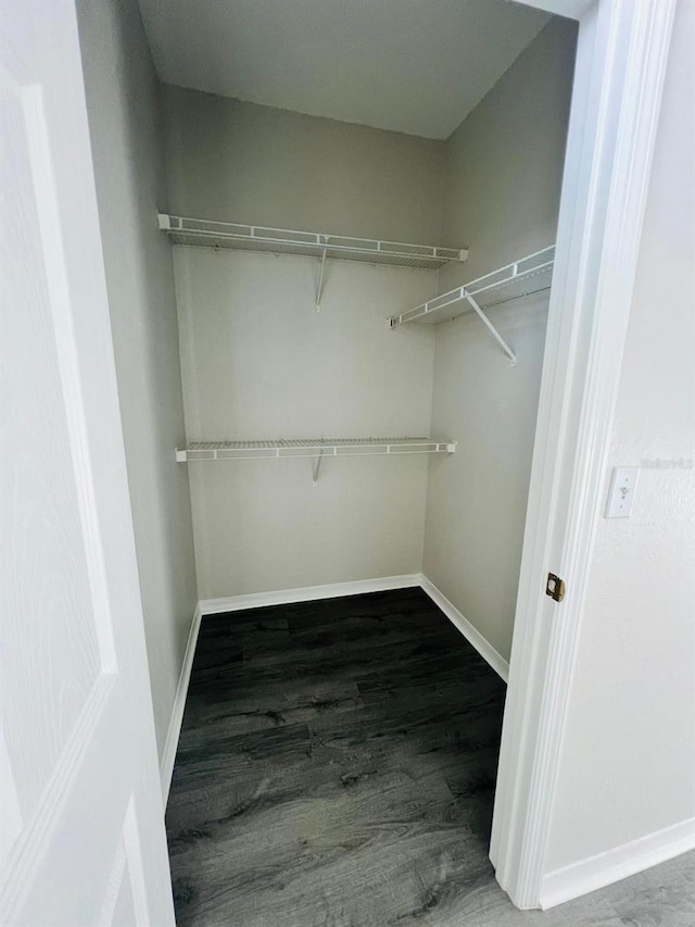 spacious closet featuring wood finished floors