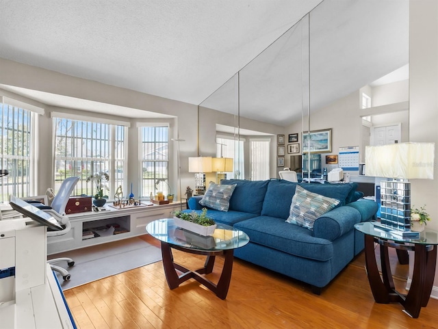 living area featuring vaulted ceiling, a textured ceiling, and wood finished floors