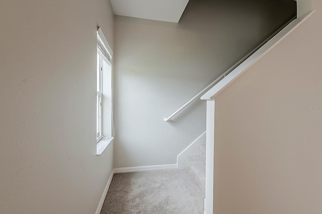 stairs featuring baseboards and carpet