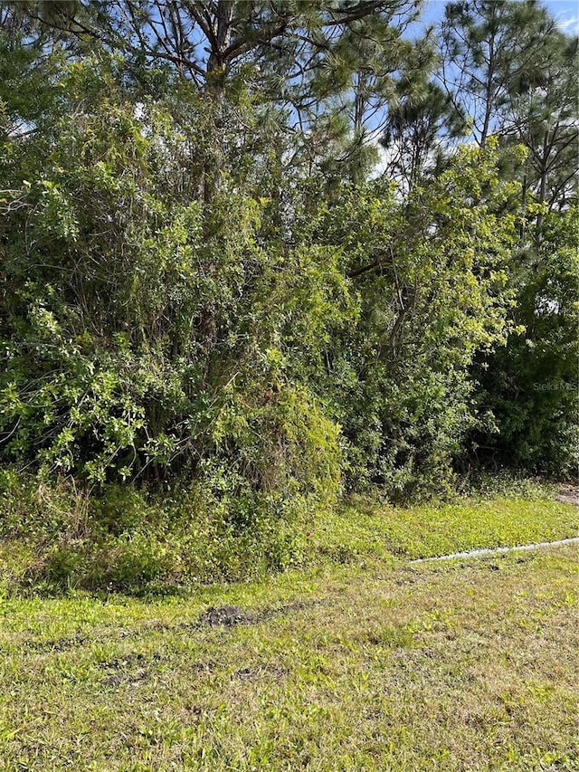 0 SE 44th Ave, Summerfield FL, 34491 land for sale