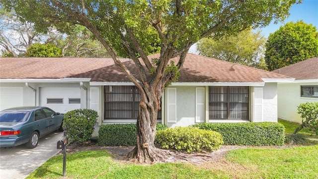 view of property exterior with a shingled roof, concrete driveway, an attached garage, and stucco siding