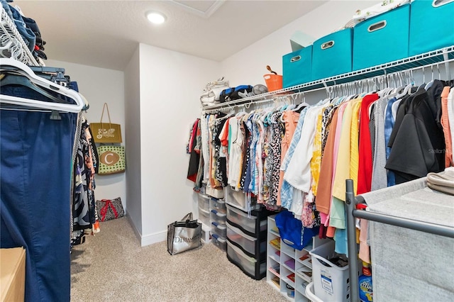 walk in closet with carpet