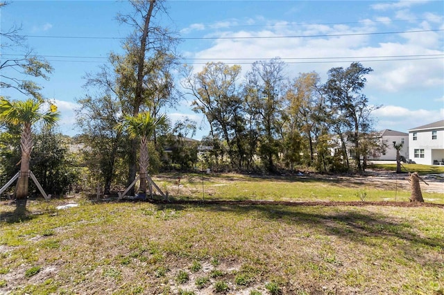 1212 Bear Oak Ln, Deland, FL 32720 - photo 50