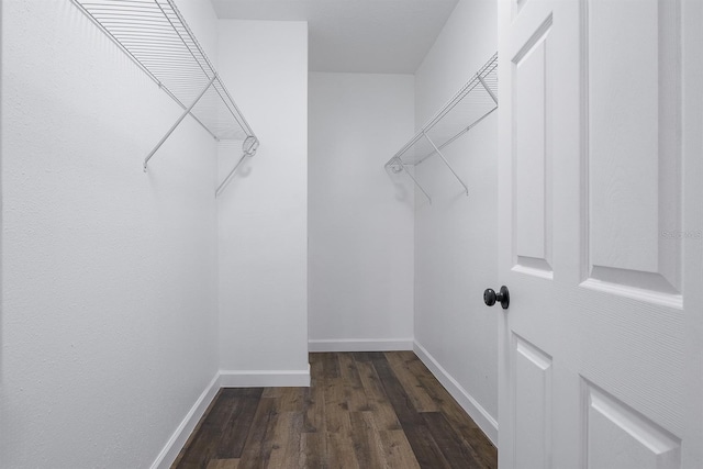 spacious closet featuring dark wood-type flooring