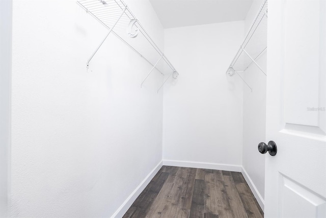 spacious closet with dark wood-style floors