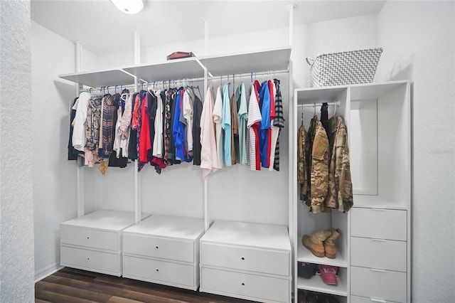 spacious closet with dark wood finished floors