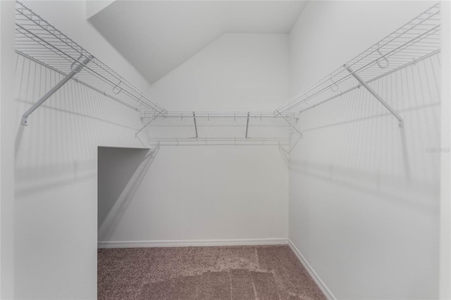 spacious closet featuring vaulted ceiling and carpet floors