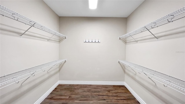 spacious closet featuring wood finished floors