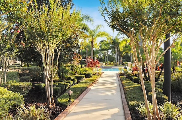 view of community featuring a pool