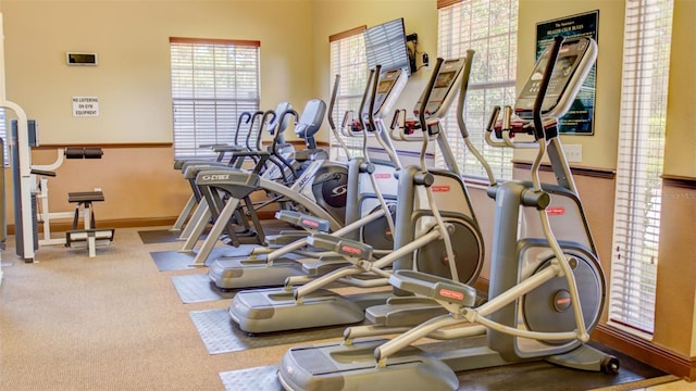 workout area with baseboards and carpet floors