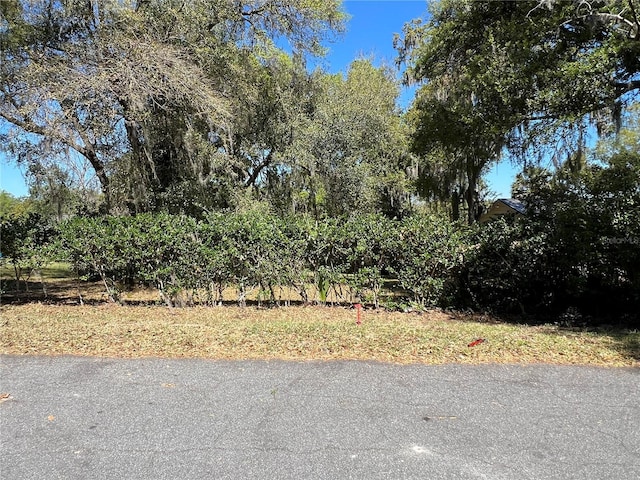 Listing photo 2 for E 3rd Ave, Mount Dora FL 32757