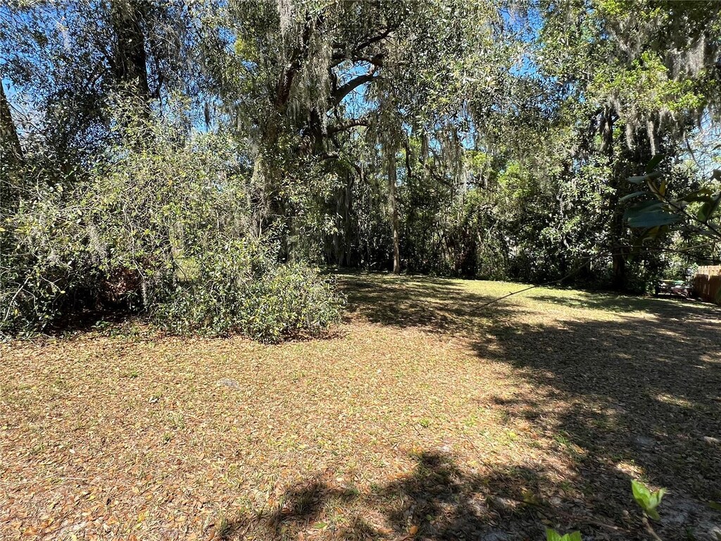E 3rd Ave, Mount Dora, FL 32757