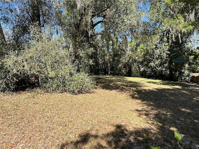 Listing photo 3 for E 3rd Ave, Mount Dora FL 32757