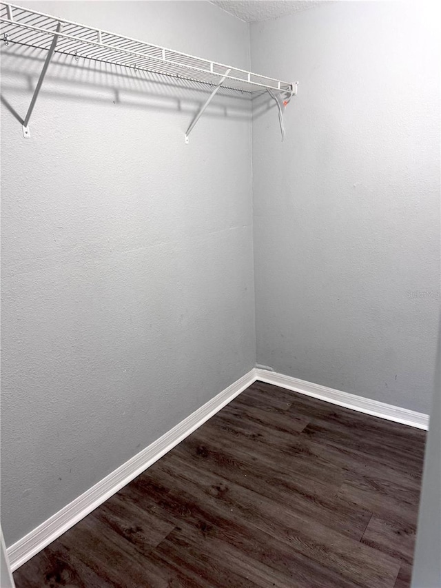 spacious closet featuring dark wood-style floors