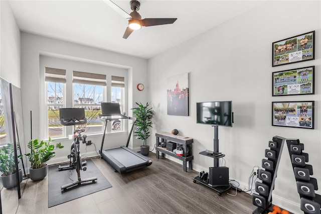 workout room with wood finished floors, a ceiling fan, and baseboards