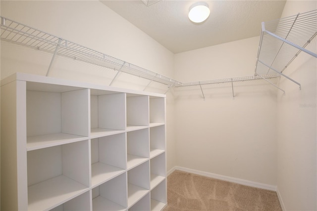 walk in closet featuring carpet floors