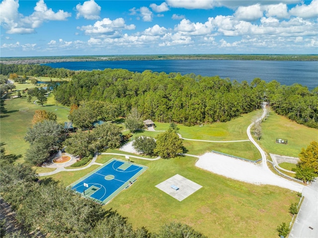 bird's eye view with a water view and a wooded view