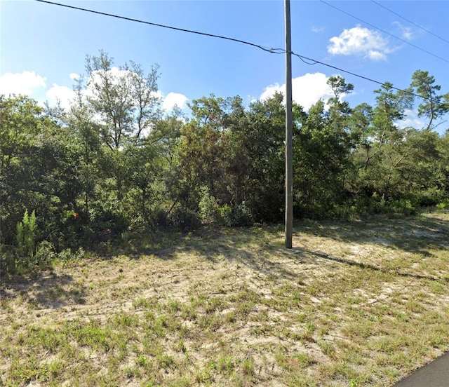 Listing photo 2 for SW 29th Court Rd, Ocala FL 34473