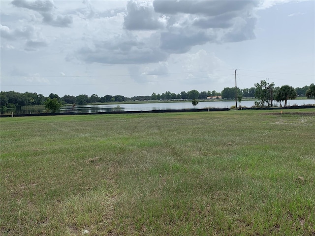 3448 Lake Diane Rd, Tavares FL, 32778 land for sale