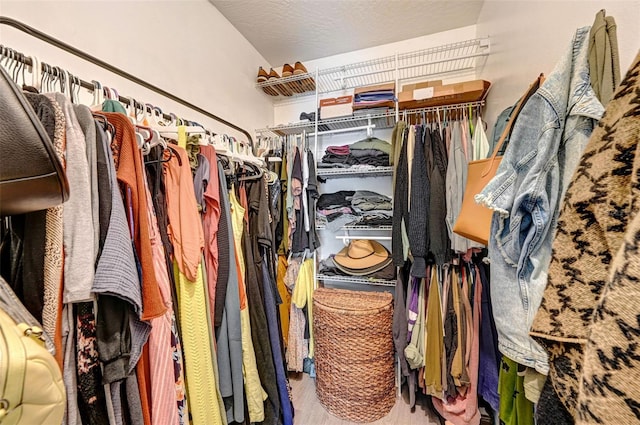 walk in closet featuring wood finished floors