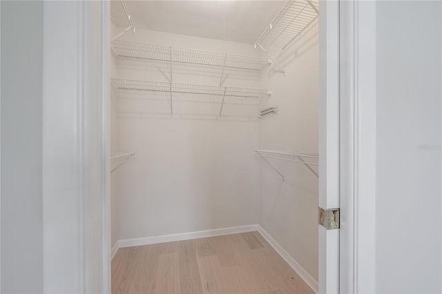 walk in closet with light wood-type flooring