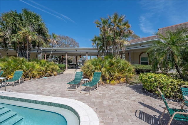 view of pool featuring a patio and a swimming pool