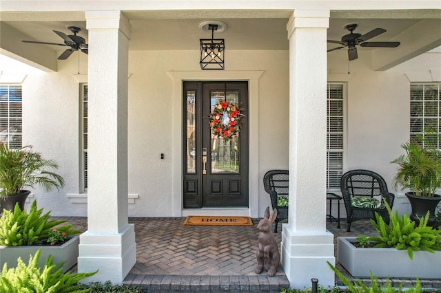 view of exterior entry with a ceiling fan and stucco siding