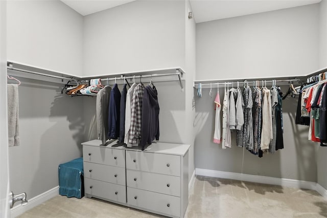 walk in closet featuring carpet floors