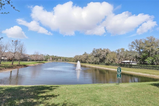 view of water feature