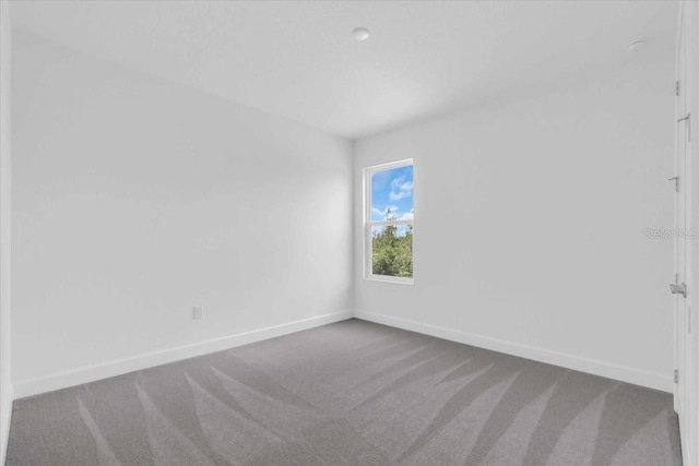 1067 Signet, Apollo Beach, FL 33572 - spare room with carpet and baseboards