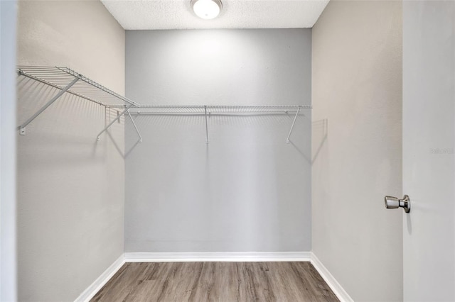 spacious closet with wood finished floors