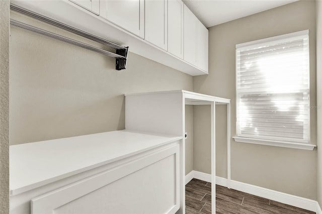 spacious closet featuring wood tiled floor