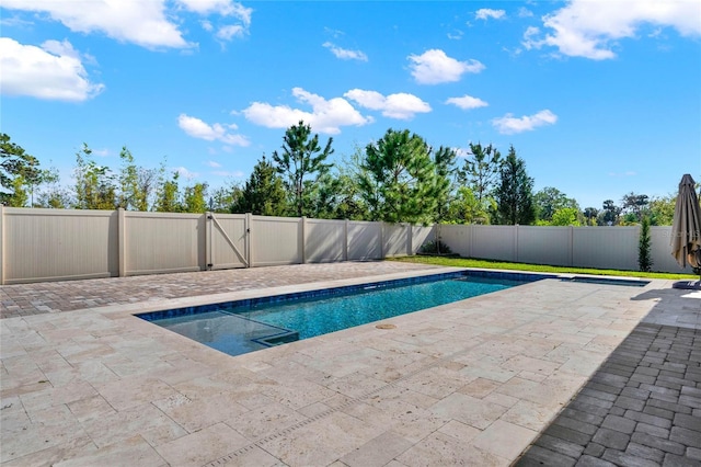 view of swimming pool featuring a gate, a fenced in pool, a fenced backyard, and a patio area