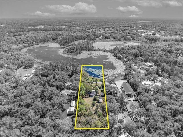 390 Lake Geneva Rd, Geneva FL, 32732 land for sale